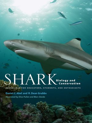 cover image of Shark Biology and Conservation